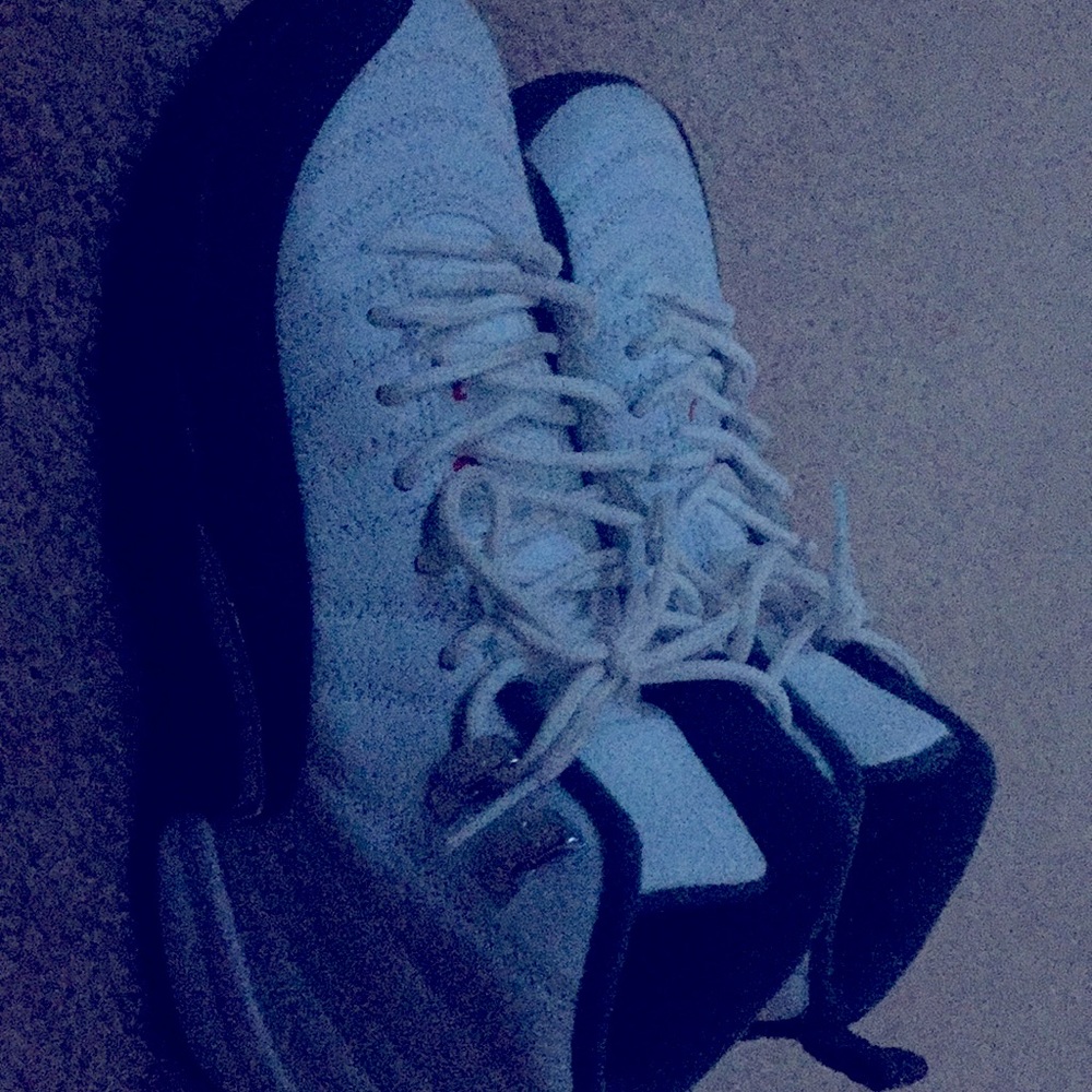 Jordan 12 grey